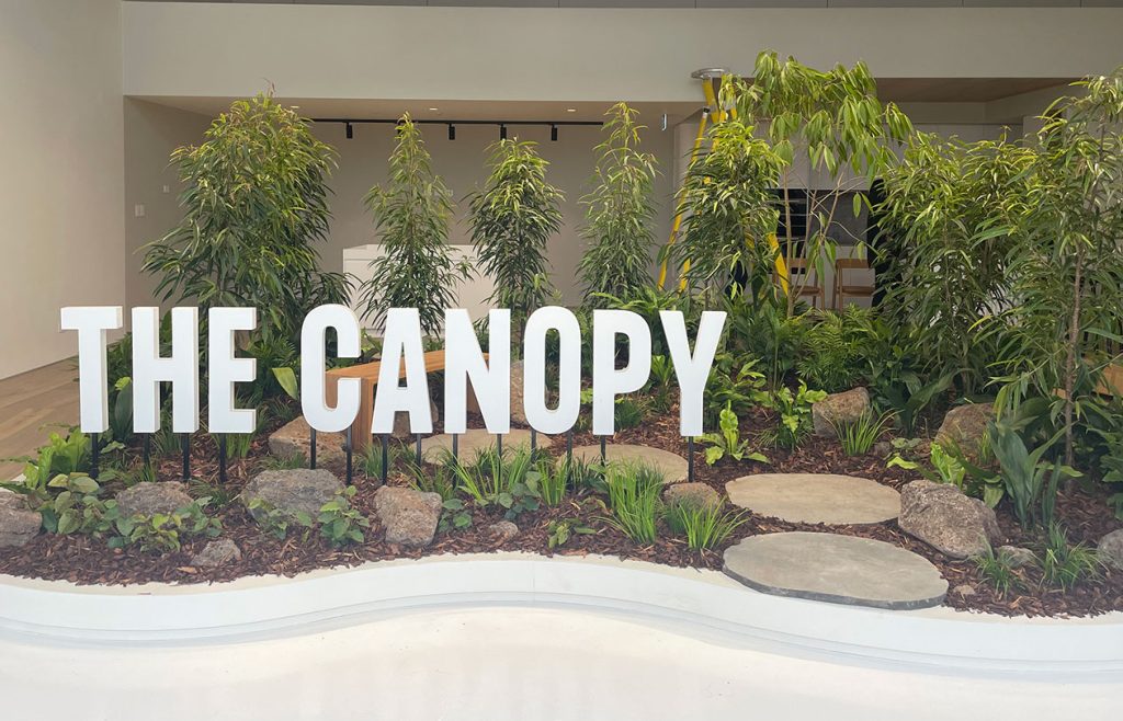 projects-the-canopy