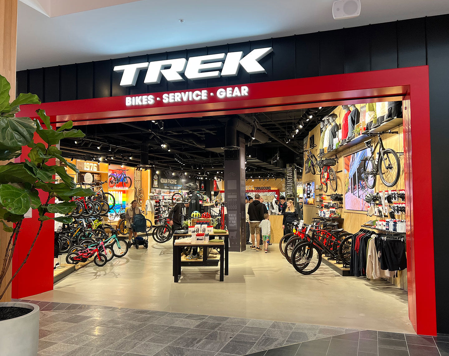 projects-trek-knox